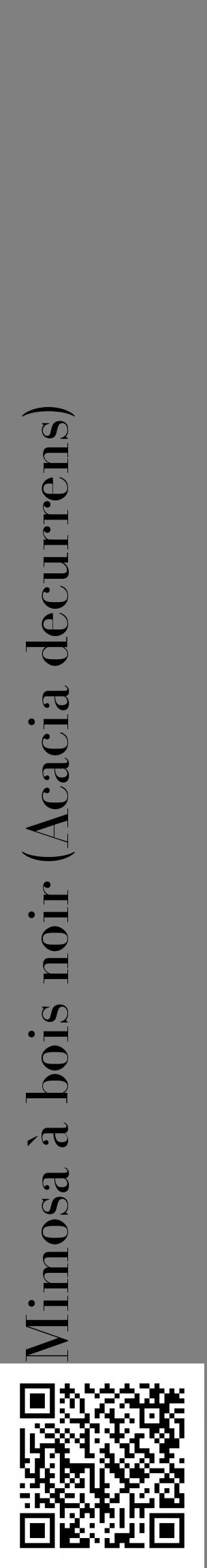 Étiquette de : Acacia decurrens - format c - style noire57_basiquebod avec qrcode et comestibilité