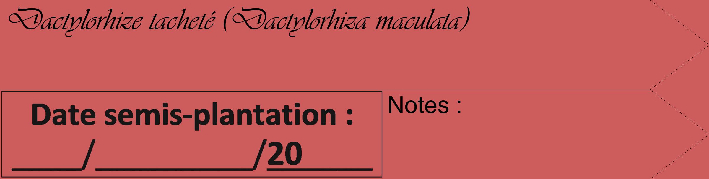 Étiquette de : Dactylorhiza maculata - format c - style noire35_simple_simpleviv avec comestibilité