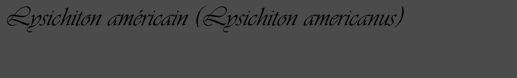 Étiquette de : Lysichiton americanus - format c - style noire9_basique_basiqueviv avec comestibilité