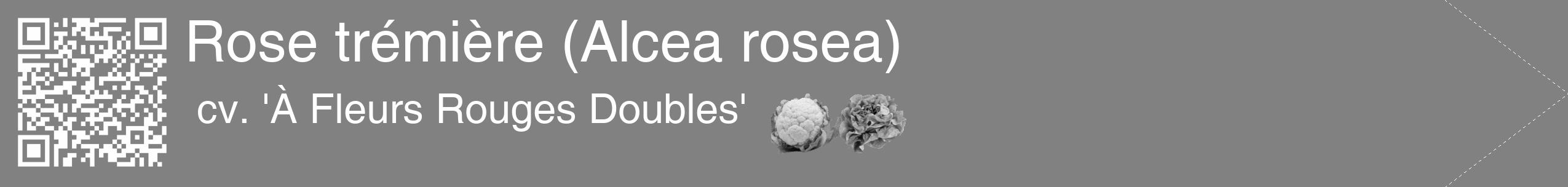 Étiquette de : Alcea rosea cv. 'À Fleurs Rouges Doubles' - format c - style blanche50_simple_simplehel avec qrcode et comestibilité simplifiée
