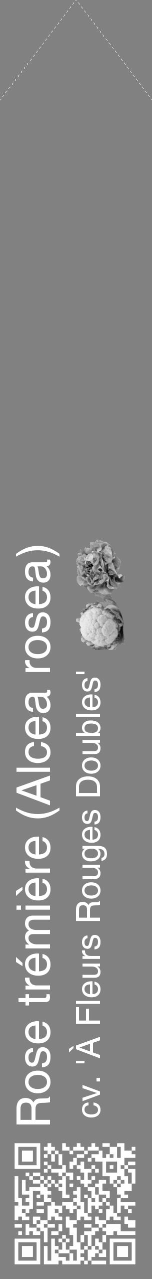 Étiquette de : Alcea rosea cv. 'À Fleurs Rouges Doubles' - format c - style blanche50_simple_simplehel avec qrcode et comestibilité simplifiée - position verticale