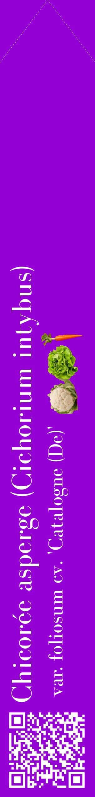 Étiquette de : Cichorium intybus var. foliosum cv. 'Catalogne (De)' - format c - style blanche48_simplebod avec qrcode et comestibilité simplifiée