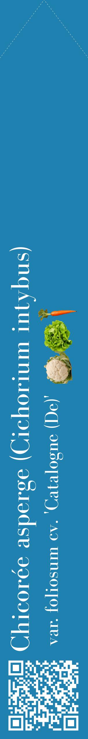 Étiquette de : Cichorium intybus var. foliosum cv. 'Catalogne (De)' - format c - style blanche6_simplebod avec qrcode et comestibilité simplifiée