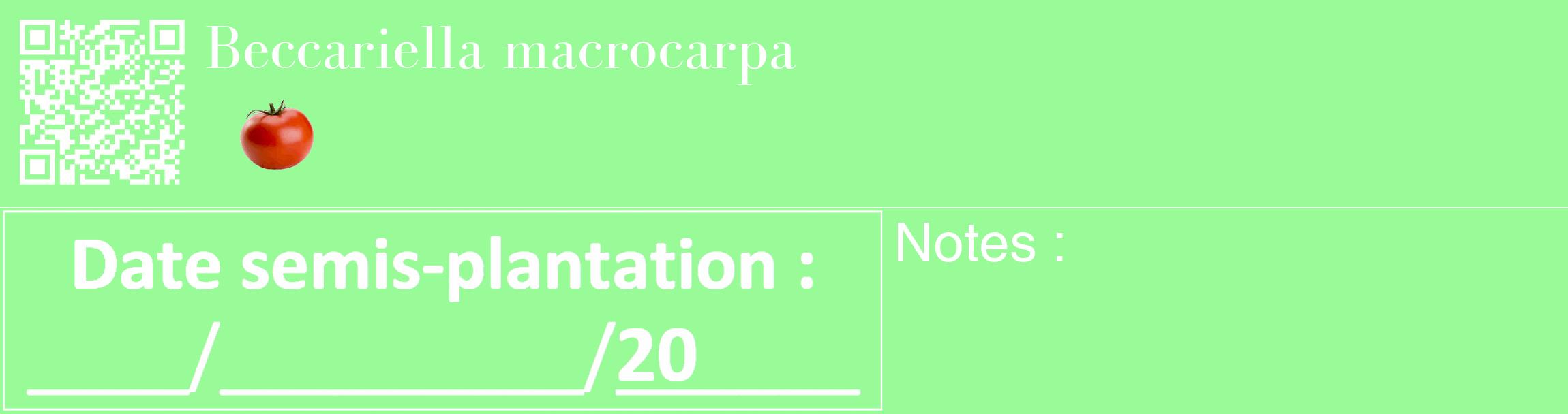 Étiquette de : Beccariella macrocarpa - format c - style blanche14_basique_basiquebod avec qrcode et comestibilité simplifiée