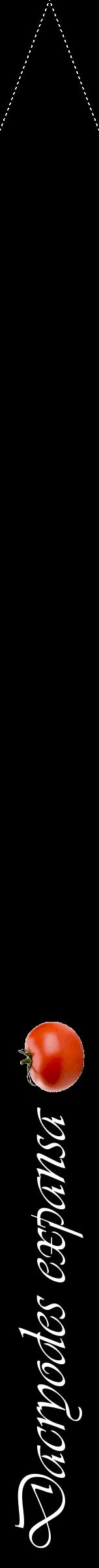 Étiquette de : Dacryodes expansa - format b - style blanche59viv avec comestibilité simplifiée