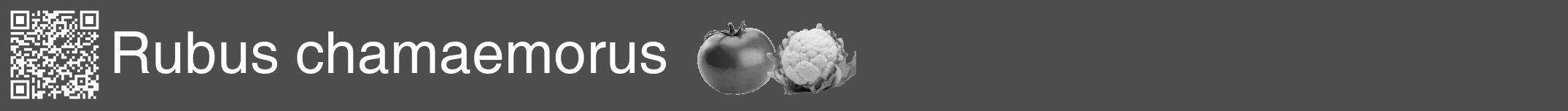 Étiquette de : Rubus chamaemorus - format a - style blanche33hel avec qrcode et comestibilité simplifiée