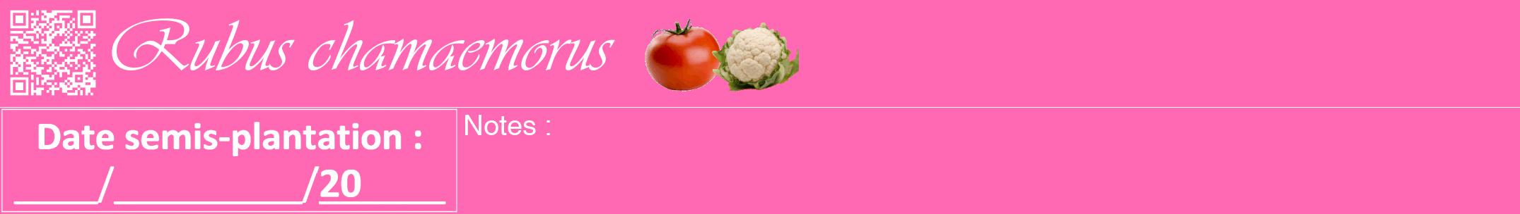 Étiquette de : Rubus chamaemorus - format a - style blanche42viv avec qrcode et comestibilité simplifiée