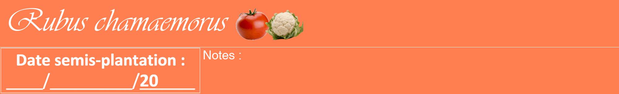 Étiquette de : Rubus chamaemorus - format a - style blanche24viv avec comestibilité simplifiée