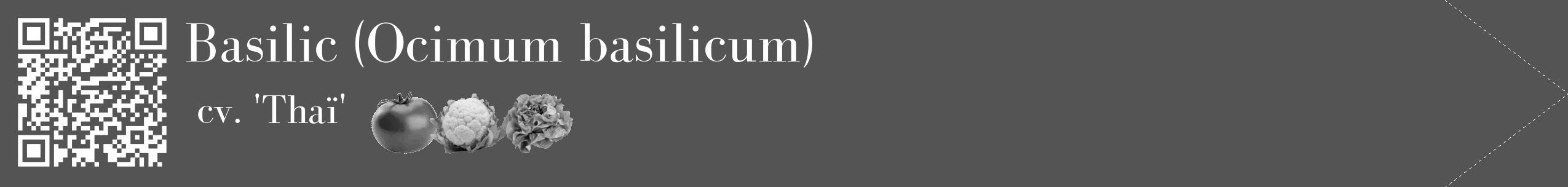 Étiquette de : Ocimum basilicum cv. 'Thaï' - format c - style blanche36_simple_simplebod avec qrcode et comestibilité simplifiée