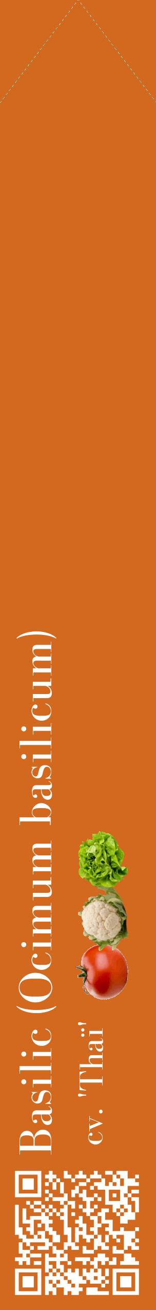Étiquette de : Ocimum basilicum cv. 'Thaï' - format c - style blanche31_simplebod avec qrcode et comestibilité simplifiée