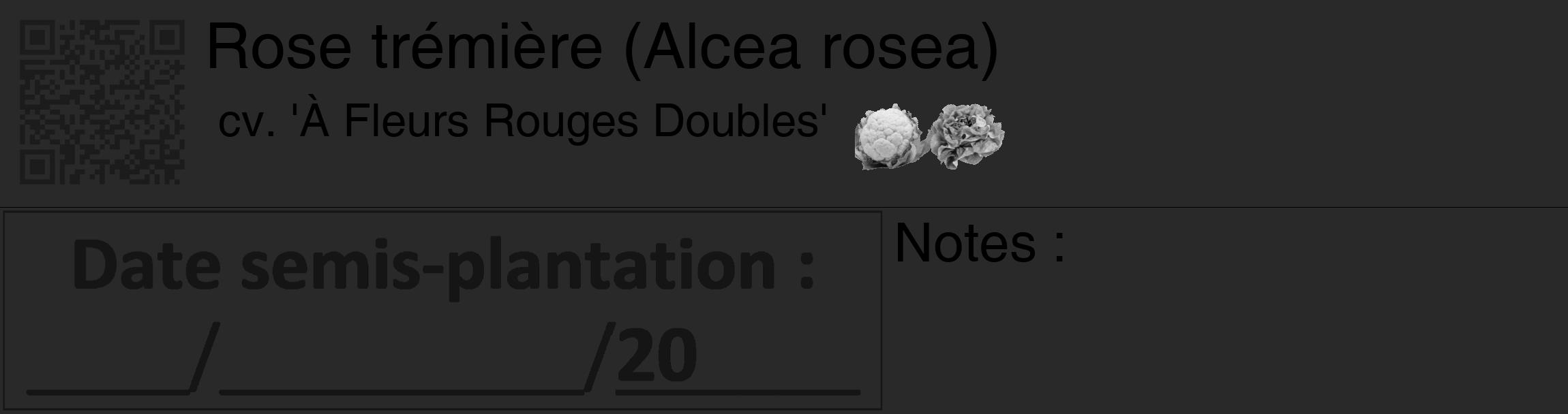 Étiquette de : Alcea rosea cv. 'À Fleurs Rouges Doubles' - format c - style noire34_basique_basiquehel avec qrcode et comestibilité simplifiée