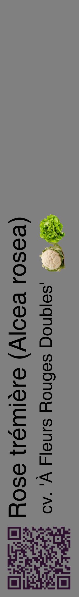 Étiquette de : Alcea rosea cv. 'À Fleurs Rouges Doubles' - format c - style noire57_basiquehel avec qrcode et comestibilité simplifiée