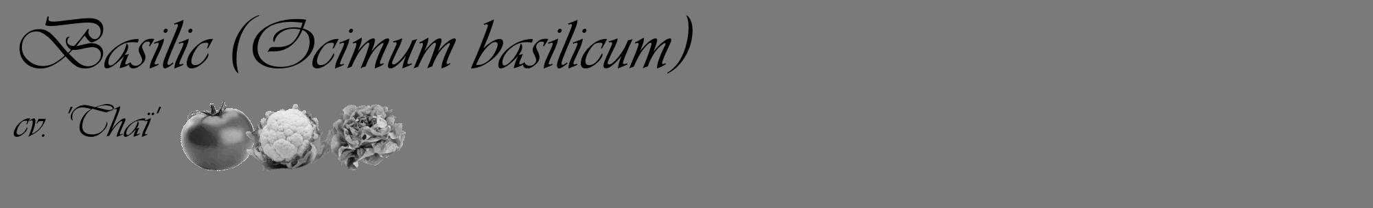Étiquette de : Ocimum basilicum cv. 'Thaï' - format c - style noire3_basique_basiqueviv avec comestibilité simplifiée