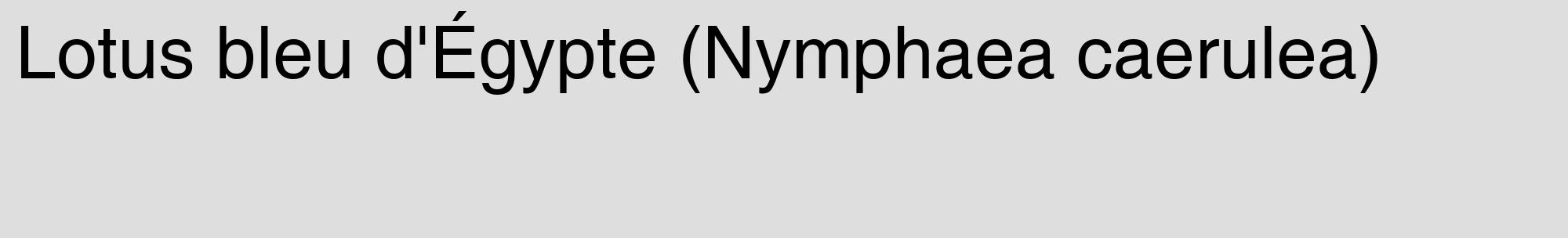 Étiquette de : Nymphaea caerulea - format c - style noire20_basique_basiquehel avec comestibilité