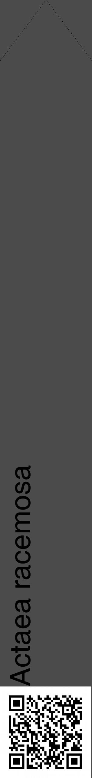 Étiquette de : Actaea racemosa - format c - style noire9_simple_simplehel avec qrcode et comestibilité - position verticale