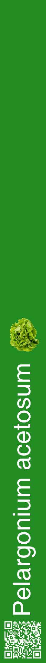 Étiquette de : Pelargonium acetosum - format a - style blanche10hel avec qrcode et comestibilité simplifiée