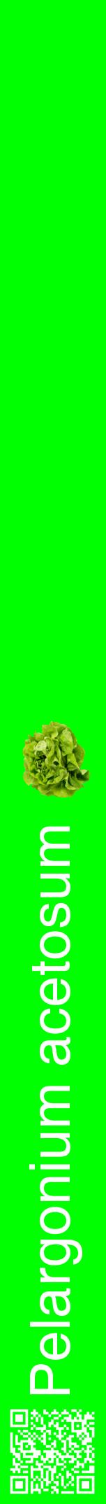 Étiquette de : Pelargonium acetosum - format a - style blanche16hel avec qrcode et comestibilité simplifiée