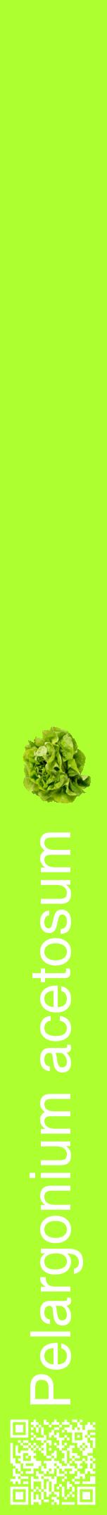 Étiquette de : Pelargonium acetosum - format a - style blanche17hel avec qrcode et comestibilité simplifiée