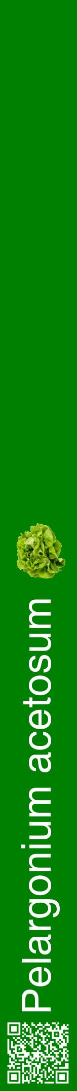 Étiquette de : Pelargonium acetosum - format a - style blanche9hel avec qrcode et comestibilité simplifiée