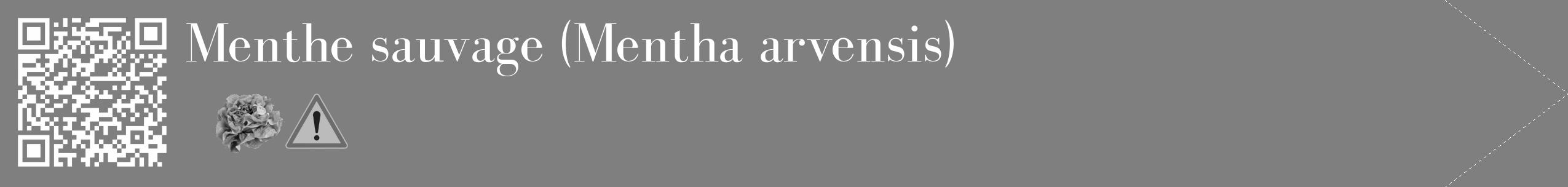 Étiquette de : Mentha arvensis - format c - style blanche57_simple_simplebod avec qrcode et comestibilité simplifiée