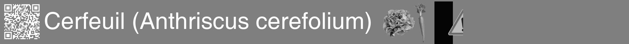Étiquette de : Anthriscus cerefolium - format a - style blanche57hel avec qrcode et comestibilité simplifiée