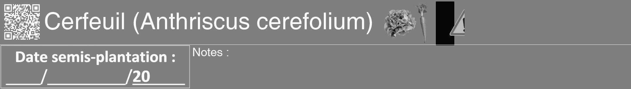 Étiquette de : Anthriscus cerefolium - format a - style blanche57hel avec qrcode et comestibilité simplifiée