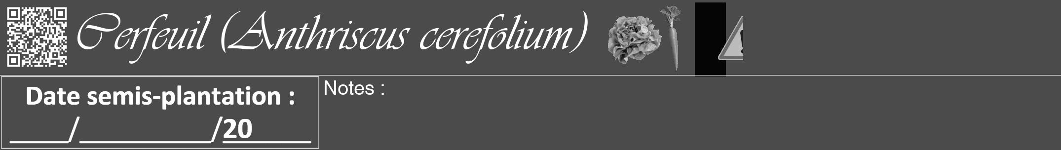 Étiquette de : Anthriscus cerefolium - format a - style blanche9viv avec qrcode et comestibilité simplifiée