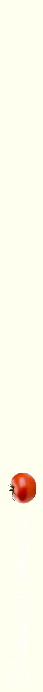 Étiquette de : Crataegus jonesiae - format b - style blanche19viv avec comestibilité simplifiée