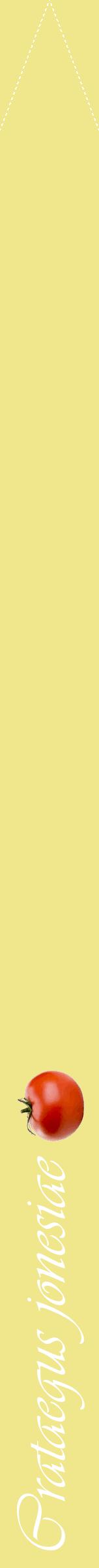 Étiquette de : Crataegus jonesiae - format b - style blanche20viv avec comestibilité simplifiée