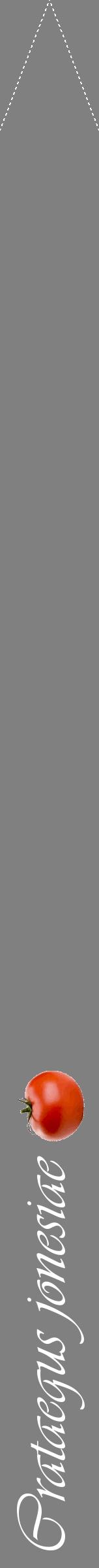 Étiquette de : Crataegus jonesiae - format b - style blanche57viv avec comestibilité simplifiée