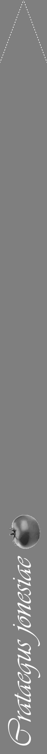 Étiquette de : Crataegus jonesiae - format b - style blanche57viv avec comestibilité simplifiée - position verticale