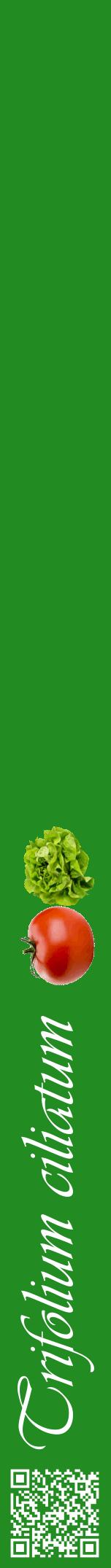 Étiquette de : Trifolium ciliatum - format a - style blanche10viv avec qrcode et comestibilité simplifiée