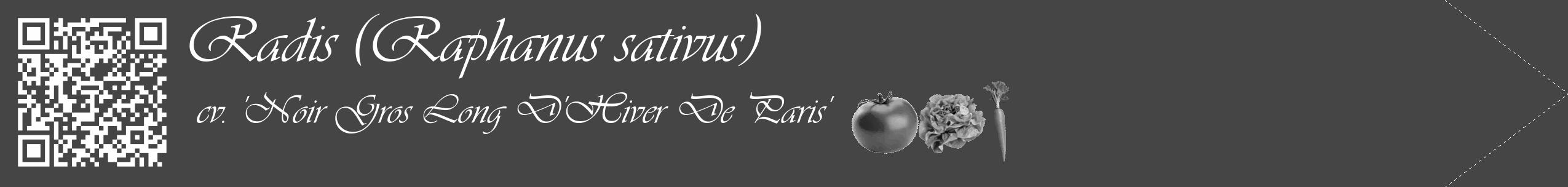 Étiquette de : Raphanus sativus cv. 'Noir Gros Long D'Hiver De Paris' - format c - style blanche58_simple_simpleviv avec qrcode et comestibilité simplifiée