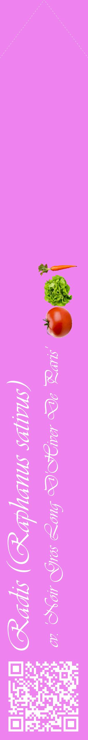 Étiquette de : Raphanus sativus cv. 'Noir Gros Long D'Hiver De Paris' - format c - style blanche53_simpleviv avec qrcode et comestibilité simplifiée
