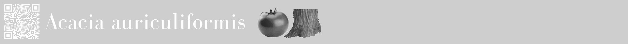 Étiquette de : Acacia auriculiformis - format a - style blanche17bod avec qrcode et comestibilité simplifiée