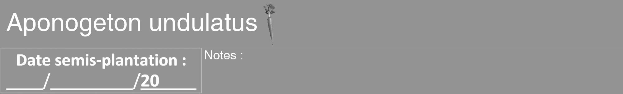 Étiquette de : Aponogeton undulatus - format a - style blanche44hel avec comestibilité simplifiée