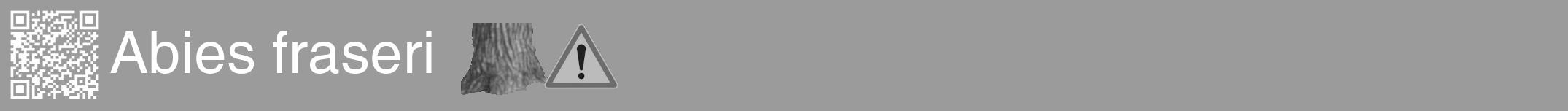 Étiquette de : Abies fraseri - format a - style blanche52hel avec qrcode et comestibilité simplifiée