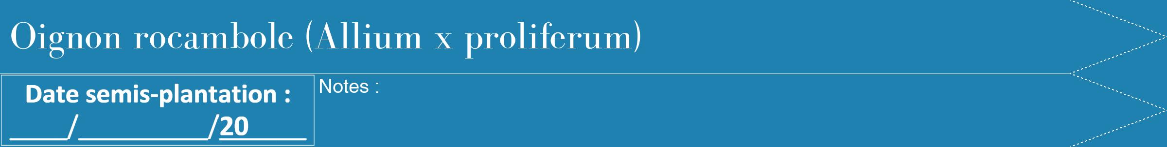 Étiquette de : Allium x proliferum - format b - style blanche6bod avec comestibilité