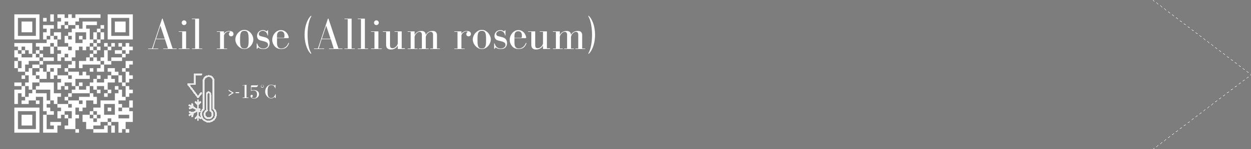 Étiquette de : Allium roseum - format c - style blanche35_simple_simplebod avec qrcode et comestibilité