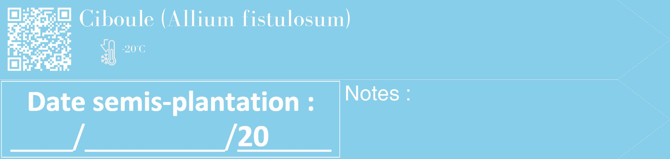 Étiquette de : Allium fistulosum - format c - style blanche1_simple_simplebod avec qrcode et comestibilité