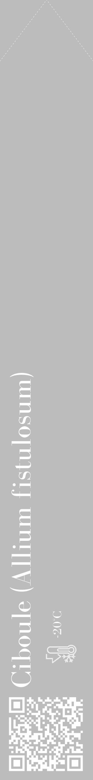Étiquette de : Allium fistulosum - format c - style blanche1_simple_simplebod avec qrcode et comestibilité - position verticale