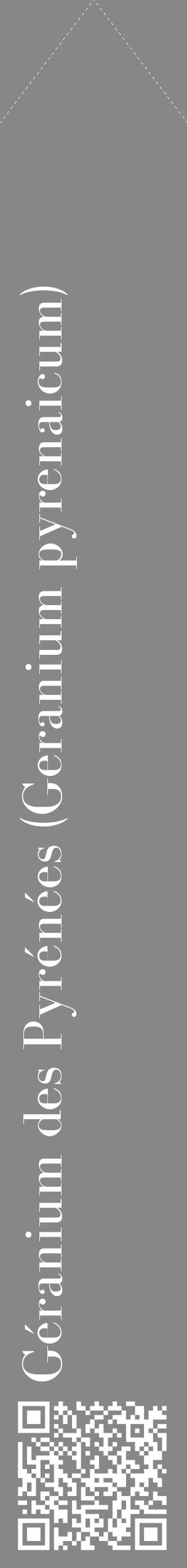 Étiquette de : Geranium pyrenaicum - format c - style blanche12_simple_simplebod avec qrcode et comestibilité - position verticale