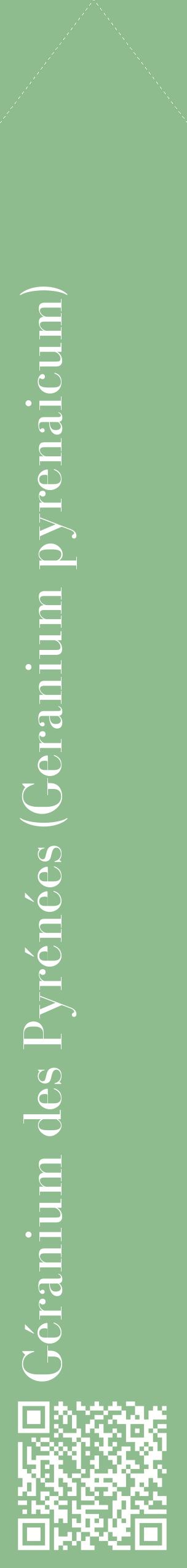 Étiquette de : Geranium pyrenaicum - format c - style blanche13_simplebod avec qrcode et comestibilité