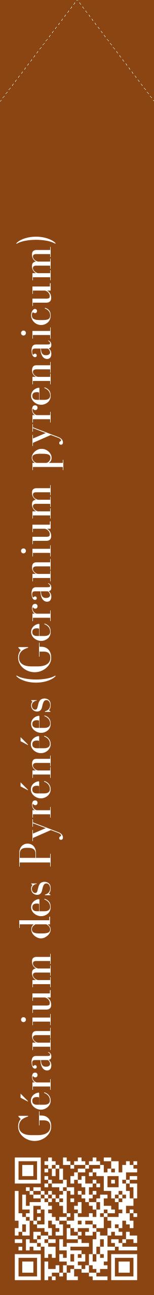 Étiquette de : Geranium pyrenaicum - format c - style blanche30_simplebod avec qrcode et comestibilité