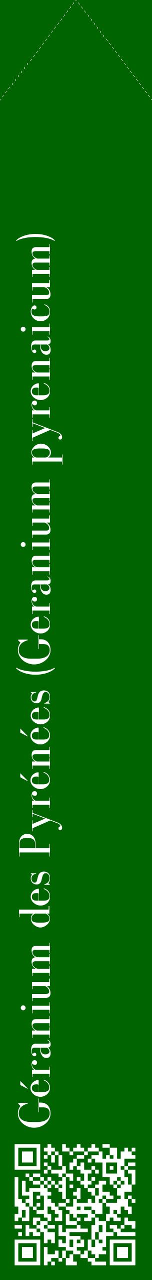 Étiquette de : Geranium pyrenaicum - format c - style blanche8_simplebod avec qrcode et comestibilité