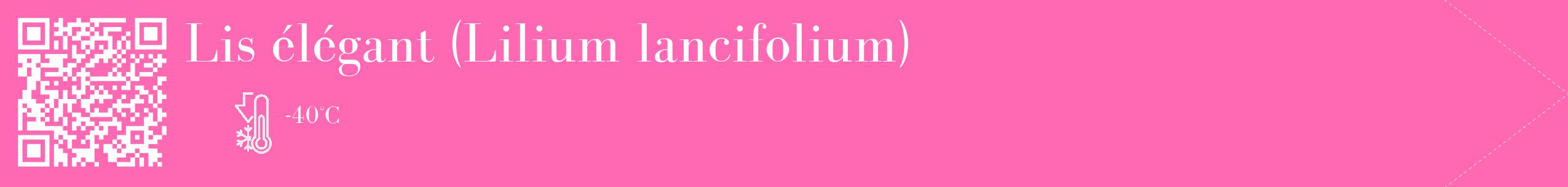 Étiquette de : Lilium lancifolium - format c - style blanche42_simple_simplebod avec qrcode et comestibilité