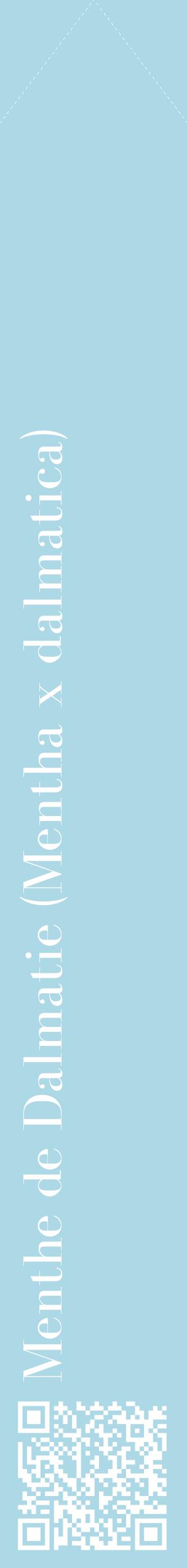Étiquette de : Mentha x dalmatica - format c - style blanche0_simplebod avec qrcode et comestibilité