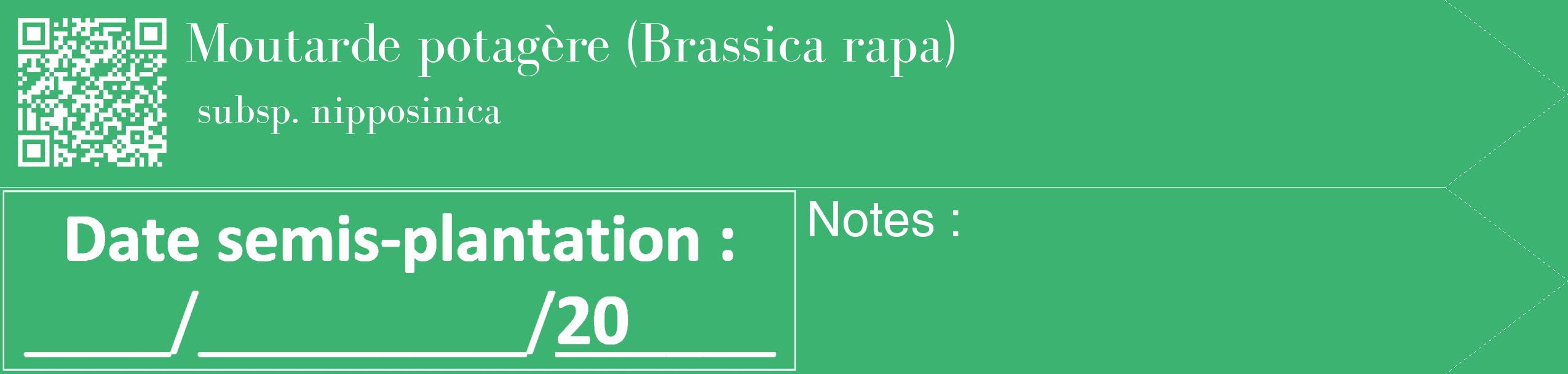 Étiquette de : Brassica rapa subsp. nipposinica - format c - style blanche12_simple_simplebod avec qrcode et comestibilité