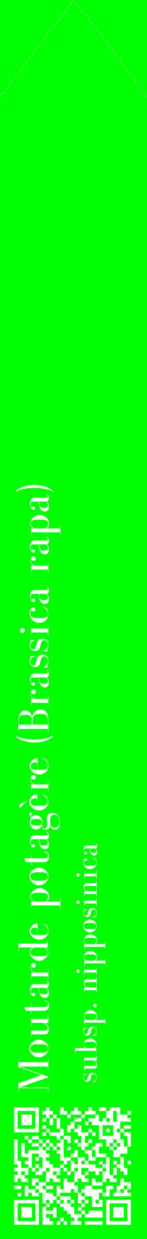 Étiquette de : Brassica rapa subsp. nipposinica - format c - style blanche16_simplebod avec qrcode et comestibilité