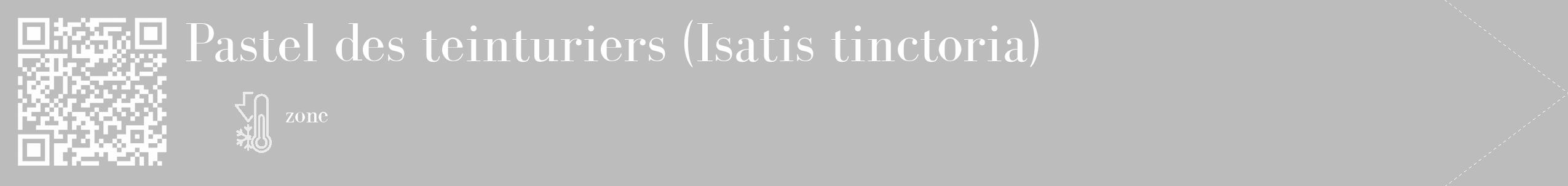 Étiquette de : Isatis tinctoria - format c - style blanche1_simple_simplebod avec qrcode et comestibilité
